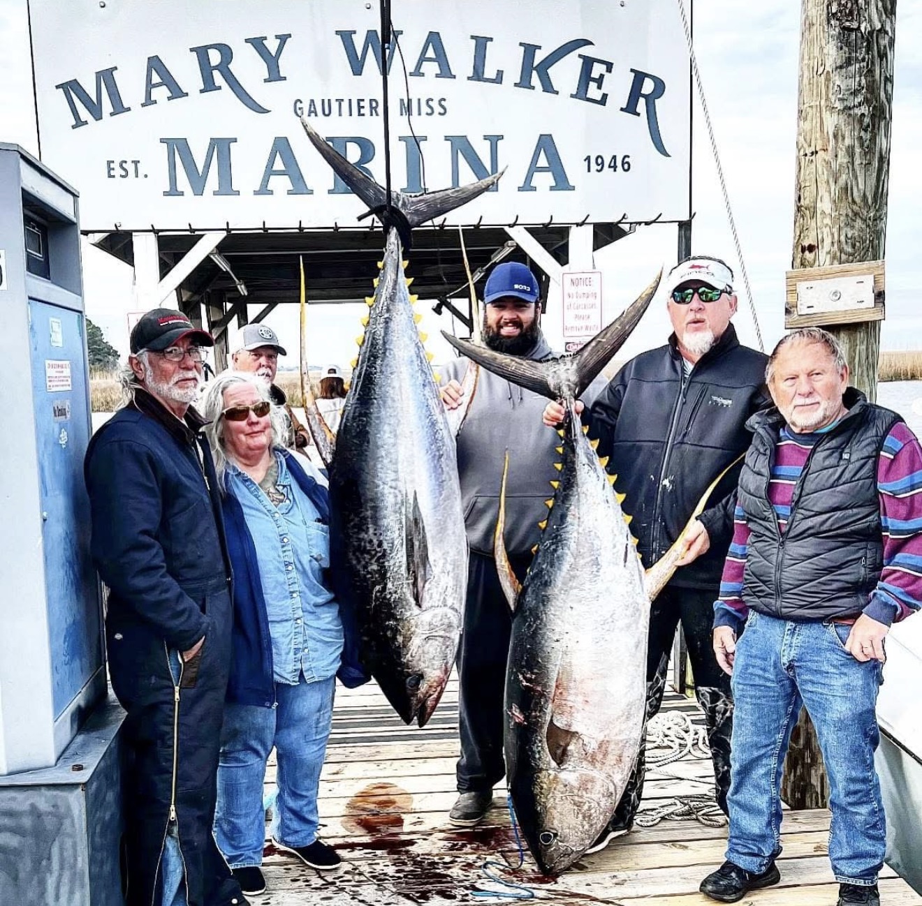 Yellowfin Tuna